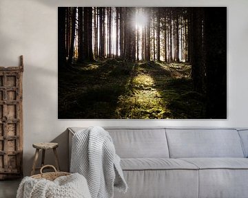 Black Forest Hinterzarten by Luis Emilio Villegas Amador