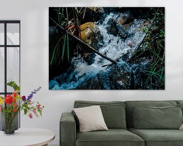 Beauté de la rivière Rocky dans les montagnes