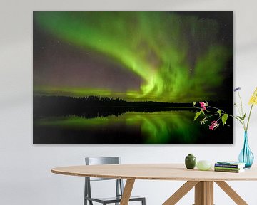 Northern lights in Finland by Ger vd Broek natuurfotografie