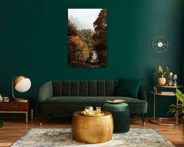 Morning mist in the autumn forest by Jolijn Gommans