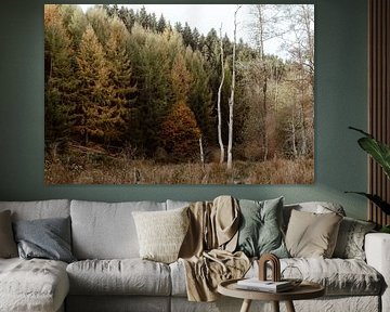 Natural forest edge in autumn colours by Jolijn Gommans