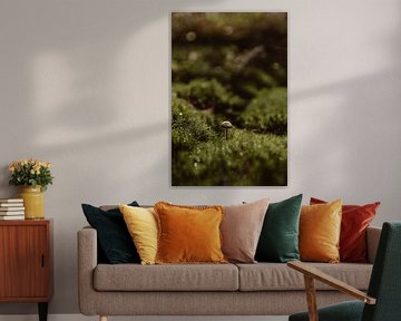 Mushroom in star moss by Jolijn Gommans