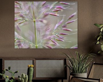 Smart flowers in nature - photography