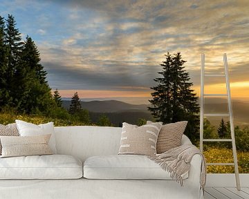 Beautiful golden light on top of the Feldberg. by Jos Pannekoek