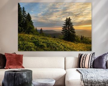Beautiful golden light on top of the Feldberg. by Jos Pannekoek