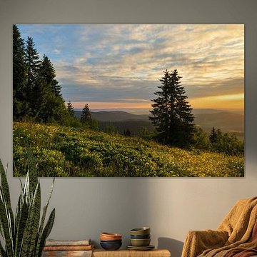 Schöne goldene Licht auf dem Feldberg. von Jos Pannekoek