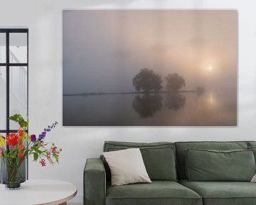 Nebliger Sonnenaufgang in der Aue von Moetwil en van Dijk - Fotografie