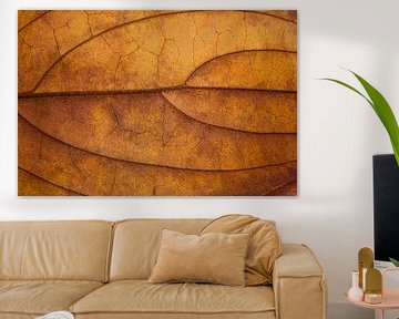 Cracks by The Art Of Vili