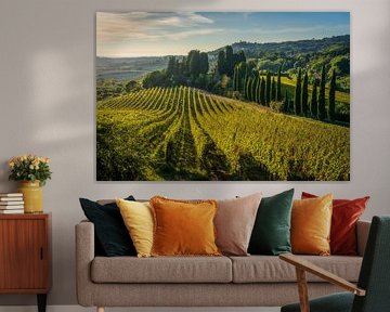 Sunset Over Vineyards and Cypress Trees in Tuscan Maremma by Stefano Orazzini