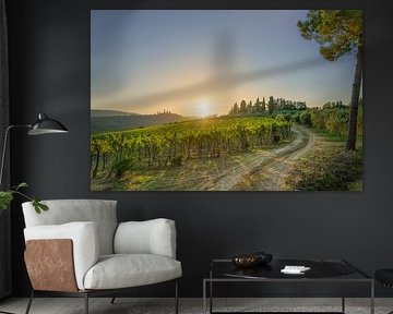 Vineyards and a country road in the San Gimignano countryside at by Stefano Orazzini