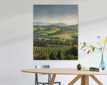 Landscape of the Morellino di Scansano wine vineyards, Tuscany by Stefano Orazzini
