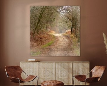 View through autumn forest by Sjoerd van Staveren