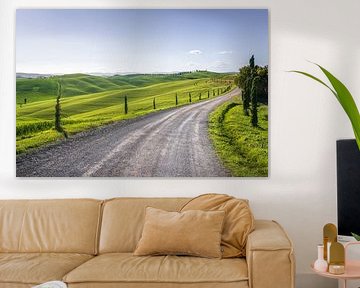 Route of the Via Francigena in Crete Senesi. Tuscany by Stefano Orazzini