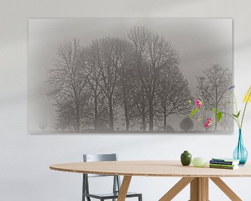 Bare trees in the fog by Sjoerd van Staveren