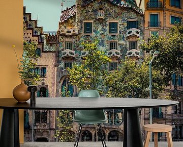Casa Batlló van Gaudi