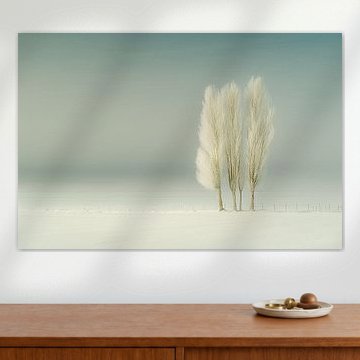 Les trois arbres qui murmurent dans la neige infinie où le monde retient son souffle