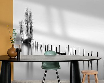 Die flüsternden Pfosten im Nebel | Wo Wasser, Zeit und Stille zusammenfließen