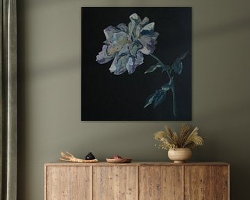 Stille Witte Roos van fdgArtworks