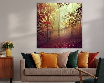 Nebliger Wald in Herbstfarben