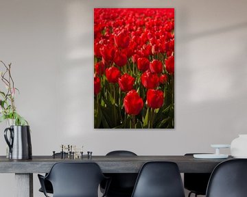 Rode tulpen van Maria Nevels