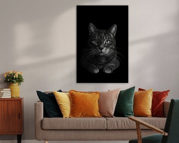 "The Cat" Cat Portrait in Black & White by Simone Photography