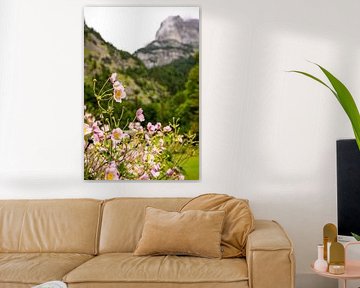 Roze bloemen in berglandschap van Daisy Renders