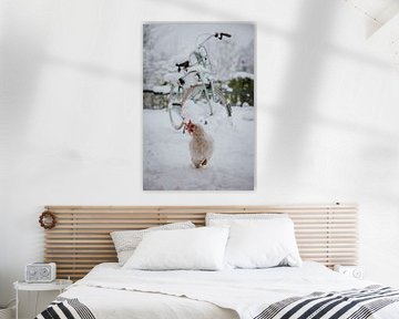 Chicken for snowy bike