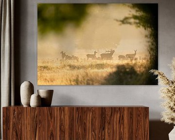 Red deer pack in rutting season by Jeffrey Hol