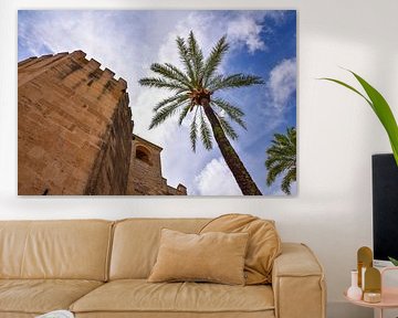 Cordoba, Spanien - II