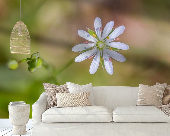 Aperçu de la chambre