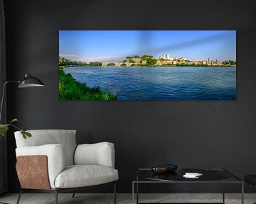 Blick auf Avigon am Fluss Rhone mit der Pont d'Avignon von Sjoerd van der Wal Fotografie