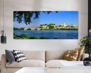 View on Avigon at the river Rhone with the Pont d'Avignon by Sjoerd van der Wal Photography