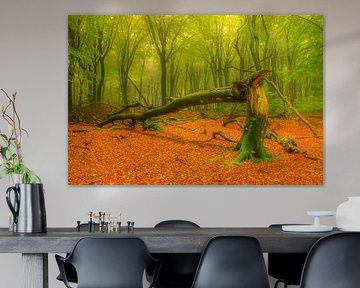 Umgestürzter Baum in einem Wald von Sjoerd van der Wal Fotografie