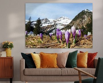 Vilsalpsee in het Tannheimer Tal - een betoverend bergmeer met heldere kleuren, een vredige sfeer en een indrukwekkend Tirools bergdecor. van Miriam Schwarzfischer Fotografie