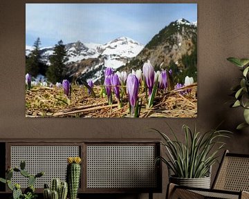 Vilsalpsee in het Tannheimer Tal - een betoverend bergmeer met heldere kleuren, een vredige sfeer en een indrukwekkend Tirools bergdecor. van Miriam Schwarzfischer Fotografie