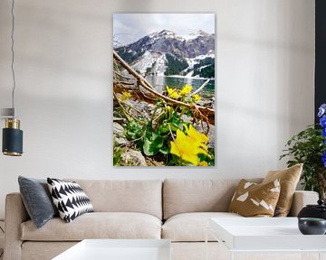Vilsalpsee in het Tannheimer Tal - een betoverend bergmeer met heldere kleuren, een vredige sfeer en een indrukwekkend Tirools bergdecor. van Miriam Schwarzfischer Fotografie