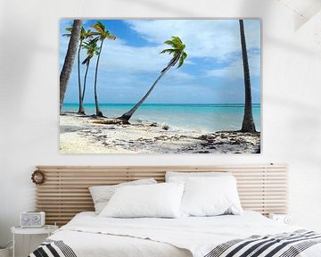 Caribbean paradise: turquoise blue sea, white beaches and tropical lightness in colourful pictures. by Miriam Schwarzfischer Fotografie