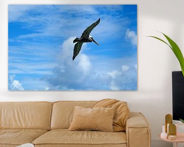 Caribbean paradise: turquoise blue sea, white beaches and tropical lightness in colourful pictures. by Miriam Schwarzfischer Fotografie