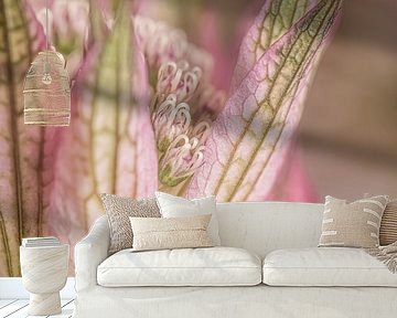 Just a quick peek.... A close-up of a Zeeland Knot in pink with (olive) green by Marjolijn van den Berg