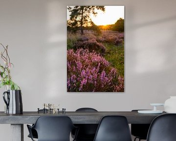 Zonsondergang boven een heidelandschap van Sjoerd van der Wal Fotografie