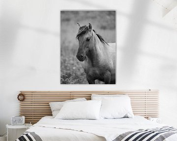 Portret van konik paard van Astrid Brouwers