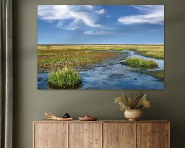 Salz-Schlickgras und Queller im Nationalpark Wattenmeer von Peter Eckert