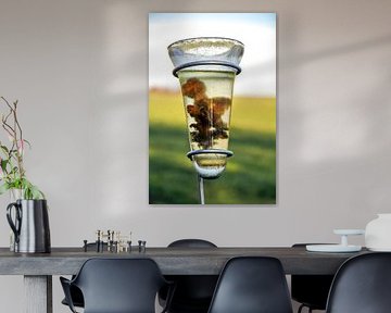 Rain gauge by Martina Dol