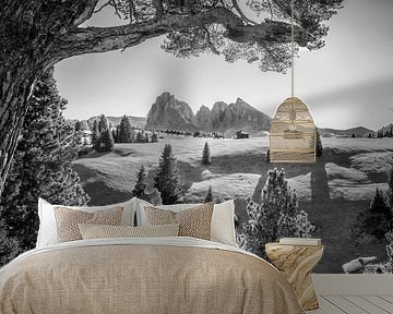 Dolomieten Alpe di Siusi in zwart-wit