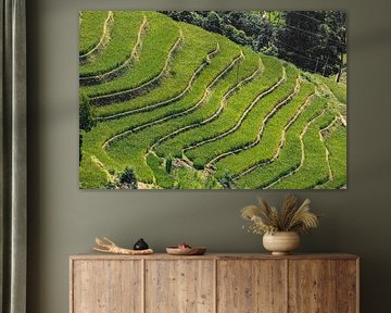 Sa Pa Region with many rice fields, Vietnam by Patrick Fotografeert