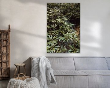 Grüne Ströme II von Insolitus Fotografie