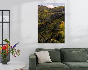 Sa Pa, Vietnam by Patrick Fotografeert