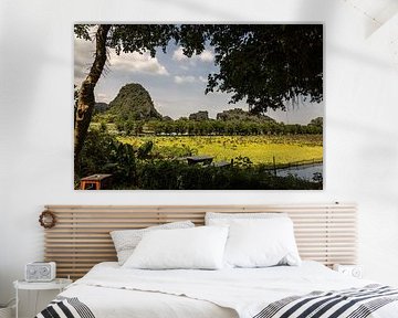 Ninh Binh, Vietnam sur Patrick Fotografeert