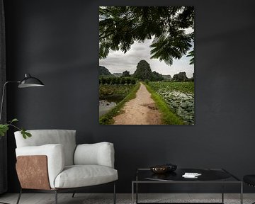 Ninh Binh, Vietnam by Patrick Fotografeert