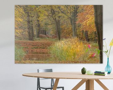 Herfst by Menno Schaefer